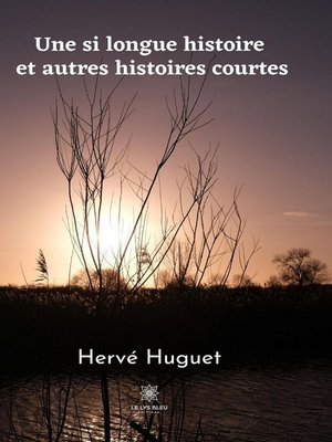 cover image of Une si longue histoire et autres histoires courtes